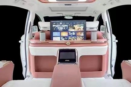 Commercial Vehicle Modified TV Partition