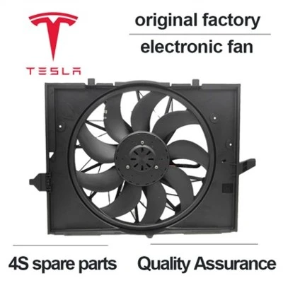 Người hâm mộ Tesla